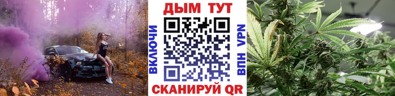 Где найти наркотики Чадан АМФ  Меф мяу мяу  ГАШ  Бошки Шишки 