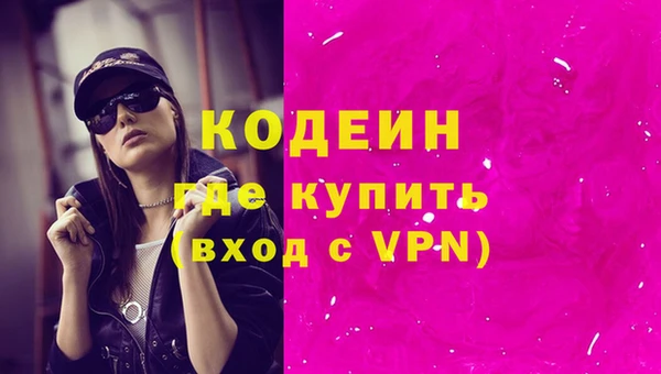 гашик Сясьстрой