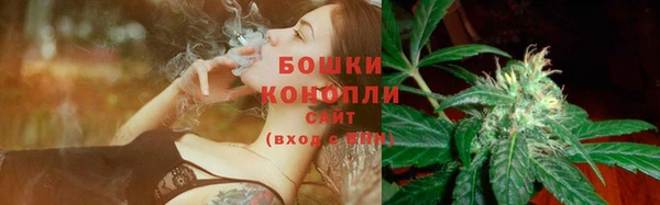 амф Майский