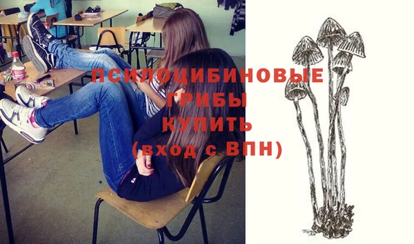 амф Майский