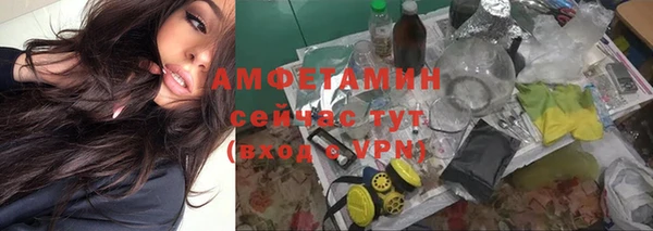 амф Майский