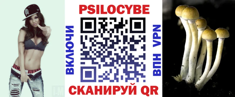 Галлюциногенные грибы мицелий  цены   Чадан 